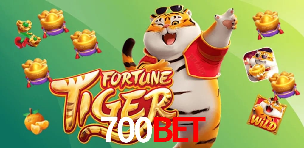 Experiência VIP 700BET